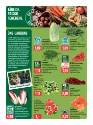 Gazetka promocyjna Feneberg - Prospekte - Gazetka - ważna od 11.11 do 11.11.2023 - strona 6 - produkty: apfel, Bau, beere, beeren, bio, Bio-Gemüse, bunte salate, clementinen, cola, dünger, eis, Elan, erde, feldsalat, fleisch, grana, granatapfel, gurke, gurken, ilag, johannisbeere, Johannisbeeren, Kinder, latte, LG, Löffel, mac, nuss, obst, Radicchio, Rana, reis, rispentomaten, rosen, Rosenkohl, rucola, saft, salat, salate, Salatgurke, salatgurken, saro, Schal, Schale, Spezi, Ti, tisch, tomate, tomaten, trauben, vita, vorspeise