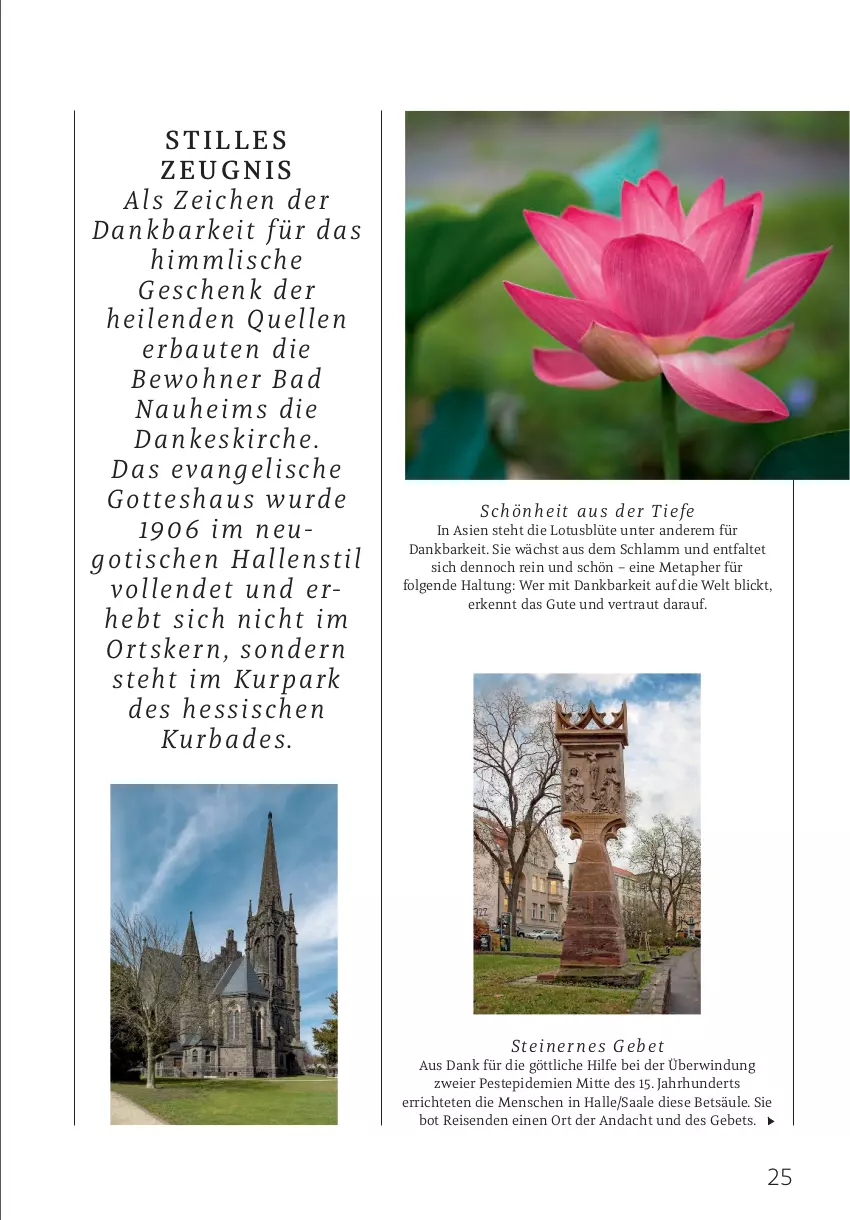 Aktueller Prospekt Rossmann - Prospekte - von 01.12 bis 31.12.2025 - strona 25 - produkty: Bad, Blüte, eier, eis, elle, lamm, LG, reis, Ti, tisch, usb