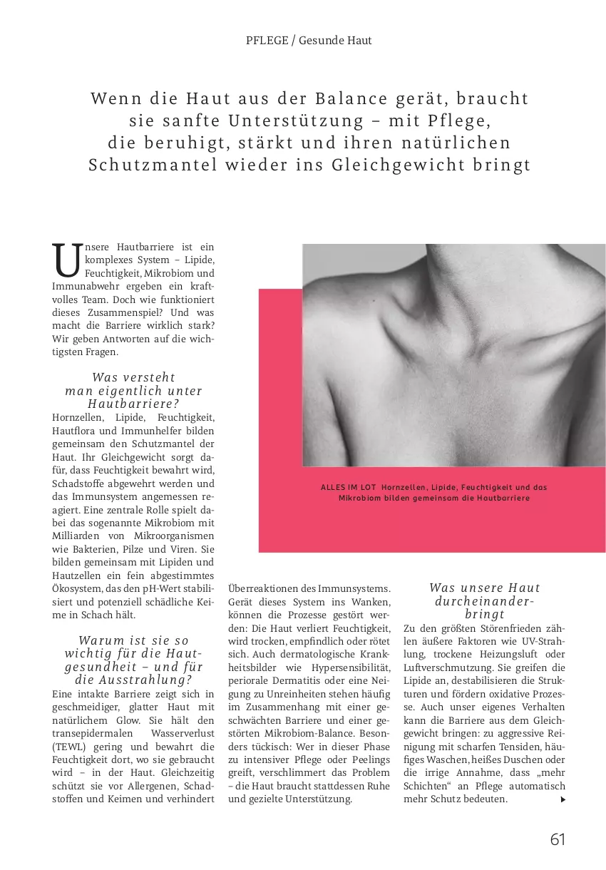 Aktueller Prospekt Rossmann - Prospekte - von 01.12 bis 31.12.2025 - strona 61 - produkty: auto, bio, dusche, elle, erde, kraft, latte, mac, Mantel, Peeling, Persen, pilze, Rauch, reifen, Reinigung, ring, Ti, tisch, wasser