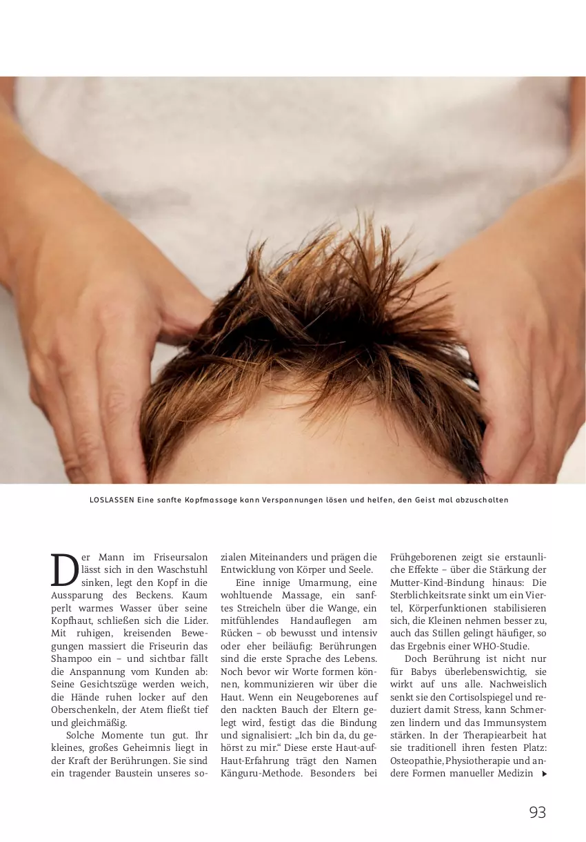 Aktueller Prospekt Rossmann - Prospekte - von 01.12 bis 31.12.2025 - strona 93 - produkty: aust, Bau, eis, elle, ente, erde, henkel, kraft, leine, reis, Schal, schenkel, shampoo, Signal, spiegel, stuhl, Ti, wasser, WICK