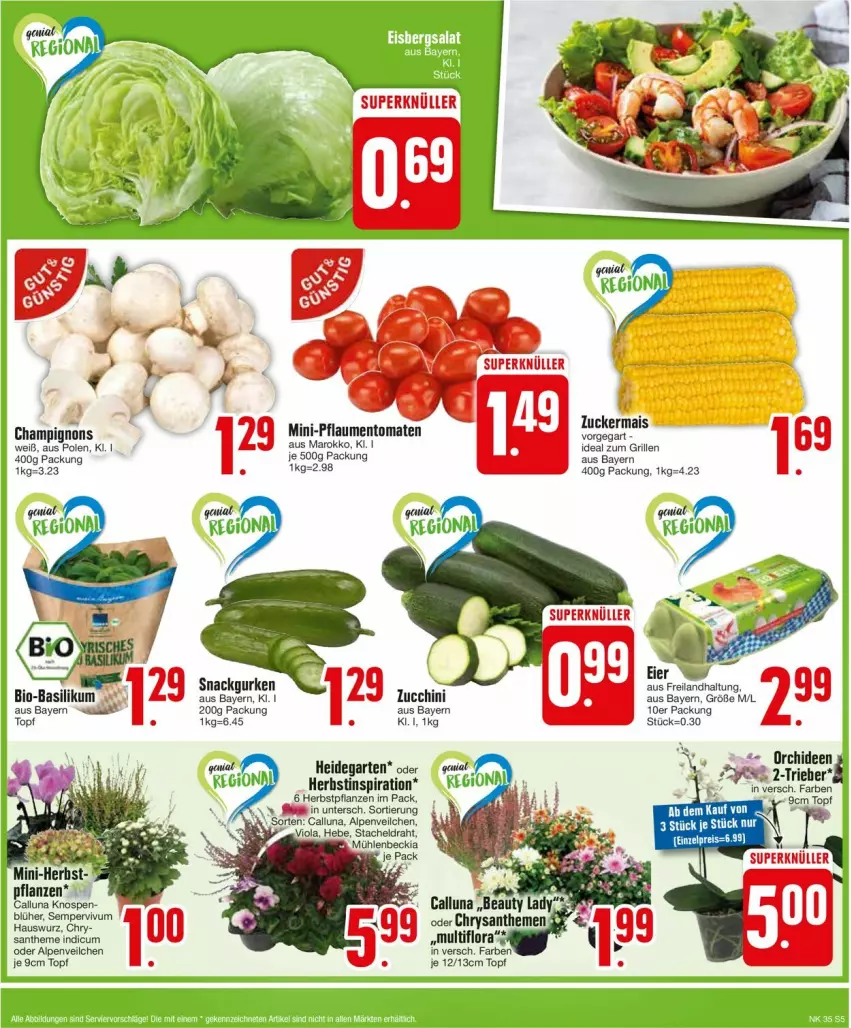 Aktueller Prospekt Edeka - Prospekte - von 26.08 bis 31.08.2024 - strona 5 - produkty: Alpenveilchen, basilikum, bio, bio-basilikum, champignon, champignons, chrysanthemen, Draht, eis, Garten, grill, gurke, gurken, Hauswurz, ideal zum grillen, mais, pflanze, pflanzen, pflaume, pflaumen, reis, Sempervivum, snack, Ti, tomate, tomaten, topf, zucchini, zucker, zuckermais