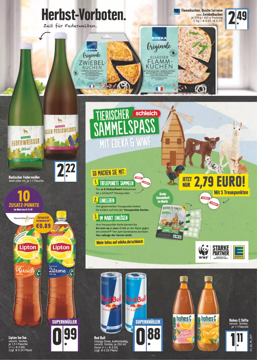 Aktueller Prospekt E Center - Angebote der Woche - von 12.09 bis 17.09.2022 - strona 17 - produkty: Bad, Bau, deutschland card, drink, eis, energy drink, flammkuchen, flasche, fleisch, Hohes C, kuchen, lamm, mac, quark, Quiche, rwe, säfte, schwein, schweine, schweinefleisch, Speck, speisequark, Ti, wein, weine, zwiebel, zwiebeln