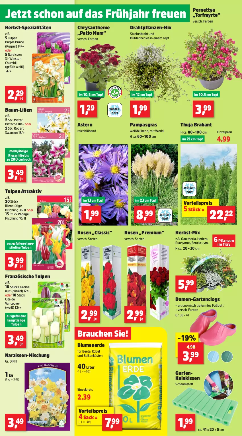 Aktueller Prospekt Thomas Philipps - von 16.09 bis 21.09.2024 - strona 2 - produkty: Bau, bett, blume, blumen, blumenerde, Clogs, Draht, dünger, eis, erde, Garten, handschuhe, Kinder, kissen, Kniekissen, latte, LG, Narzissen, pflanze, pflanzen, Rauch, reis, Ria, rind, rindenmulch, Roller, rosen, sac, schlauch, schuhe, Spaten, Spezi, Tasche, Ti, topf, topper, tragegriff, tragetasche, vorteilspreis, wasser, wedel, werkzeug, Winterschutz