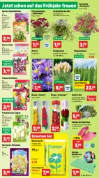 Gazetka promocyjna Thomas Philipps - Gazetka - ważna od 21.09 do 21.09.2024 - strona 2 - produkty: Bau, bett, blume, blumen, blumenerde, Clogs, Draht, dünger, eis, erde, Garten, handschuhe, Kinder, kissen, Kniekissen, latte, LG, Narzissen, pflanze, pflanzen, Rauch, reis, Ria, rind, rindenmulch, Roller, rosen, sac, schlauch, schuhe, Spaten, Spezi, Tasche, Ti, topf, topper, tragegriff, tragetasche, vorteilspreis, wasser, wedel, werkzeug, Winterschutz