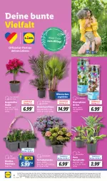 Gazetka promocyjna Lidl - Aktionsprospekt - Gazetka - ważna od 01.06 do 01.06.2024 - strona 4 - produkty: angebot, coupon, eier, eis, fisch, fische, Garten, hortensie, hortensien, pflanze, pflanzen, reis, Ti, topf, wasser, Winterschutz, ZTE