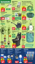 Gazetka promocyjna Thomas Philipps - Gazetka - ważna od 02.08 do 02.08.2025 - strona 2 - produkty: akku, apfel, auto, balkonpflanzen, blume, blumen, brause, elle, erde, flasche, Garten, Gartenbrause, gartenschlauch, Gießkanne, Kaki, kirsch, kissen, Kniekissen, kokos, Lampe, leds, Leuchte, leuchten, Mantel, obst, pflanze, pflanzen, pflaume, ring, sac, Schal, schlauch, solarleuchte, Teleskop, teleskopstiel, Ti, topf, usb, wasser
