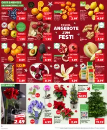 Gazetka promocyjna Kaufland - Prospekt - Gazetka - ważna od 20.12 do 20.12.2023 - strona 12 - produkty: angebot, angebote, apfel, avocado, Bau, beere, beeren, beutel, bio, bio-zitronen, clementinen, eis, erdnüsse, früchte, galiamelone, grana, granatapfel, heidelbeere, heidelbeeren, ingwer, Kaki, kartoffel, kartoffeln, Kette, lichterkette, melone, obst, orange, orangen, orchidee, orchideen, pflanze, pflanzen, Rana, rezept, rezepte, Ria, rote bete, sac, Schal, Schale, speisekartoffeln, tafeläpfel, Ti, tisch, topf, trolli, übertopf, Vase, Weihnachtsbaum, Weihnachtsstern, zitrone, zitronen, ZTE