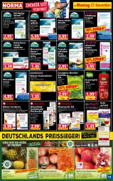 Gazetka promocyjna Norma - Norma - Gazetka - ważna od 04.12 do 04.12.2023 - strona 11 - produkty: aloe vera, ananas, apfel, Apotheke, asti, balsam, beutel, bonbons, creme, dusche, eis, elle, erde, Erkältungs, frucht, früchte, Gemüsezwiebel, getränk, gin, grana, granatapfel, holunder, ilag, Kinder, kirsch, kosmetik, LG, mac, Meerwasser, Nasendusche, Nasenspray, obst, Obst und Gemüse, pflaster, Propolis, Rana, reis, reiss, saft, salat, salate, salz, tablet, tablett, Tablette, Tasche, taschen, taschentücher, Ti, tiefpreis, tisch, tücher, und gemüse, usb, wasser, zitrone, zitronen, zwiebel, zwiebeln