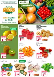 Gazetka promocyjna Globus - Prospekte - Gazetka - ważna od 12.03 do 12.03.2022 - strona 1 - produkty: angebot, angebote, angebotspreis, beutel, bio, eis, emmi, feldsalat, ingwer, kartoffel, kartoffeln, kiwi, knoblauch, möhren, paprika, paprika rot, reis, Romatomaten, salat, Schal, Schale, snack, speisekartoffeln, Stier, Ti, tomate, tomaten, zitrone, zitronen