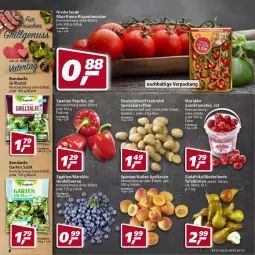 Gazetka promocyjna Real - Gazetka - ważna od 28.05 do 28.05.2022 - strona 4 - produkty: aprikose, aprikosen, beere, beeren, beutel, Birnen, bonduelle, eimer, eis, elle, Garten, grill, heidelbeere, heidelbeeren, kartoffel, kartoffeln, paprika, reis, rispentomaten, salat, Schal, Schale, snack, speisekartoffeln, tafelbirnen, Ti, tomate, tomaten
