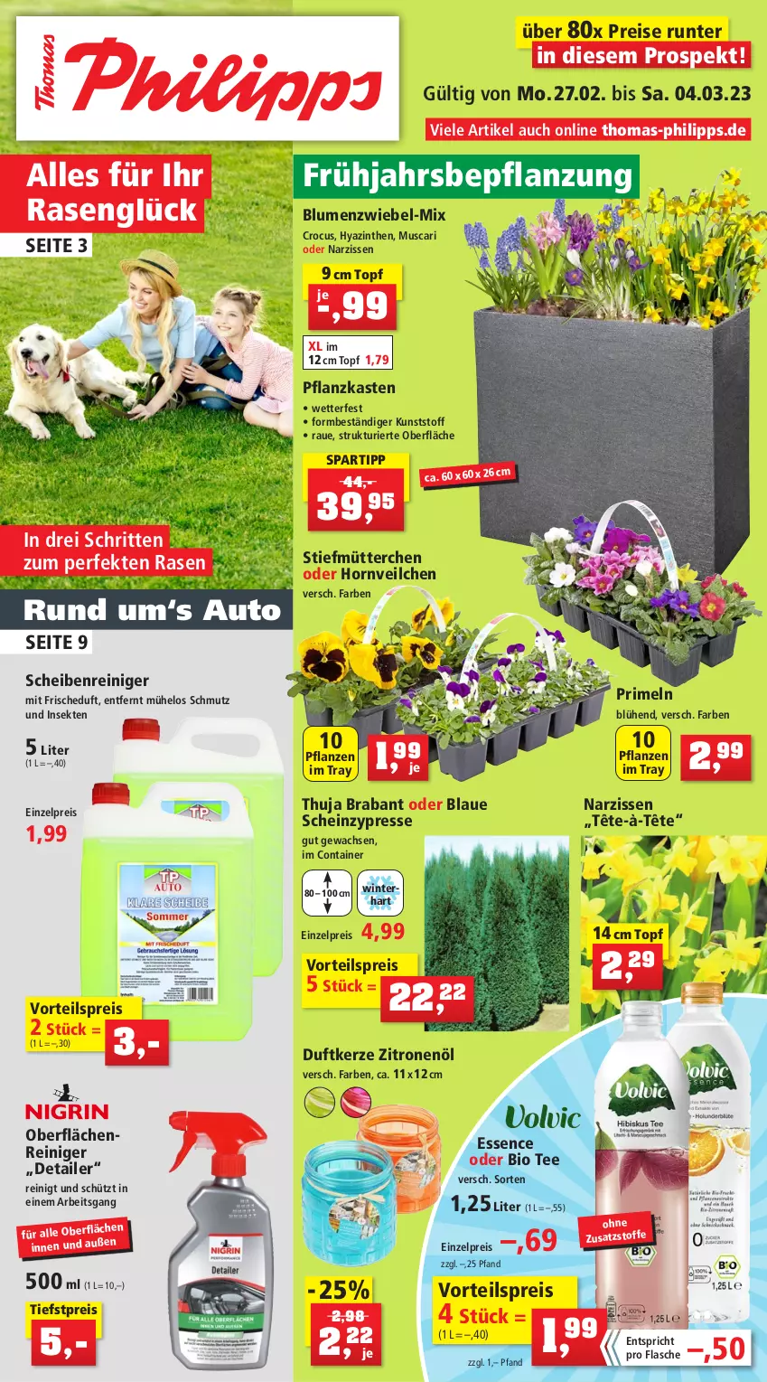 Aktueller Prospekt Thomas Philipps - Prospektwerbung - von 27.02 bis 04.03.2023 - strona 1 - produkty: auto, bio, blume, blumen, Container, Duftkerze, eis, flasche, heinz, kerze, Narzissen, pflanze, pflanzen, Pflanzkasten, Primeln, rasen, reiniger, reis, Scheibenreiniger, sekt, spartipp, tee, Ti, topf, vorteilspreis, zitrone, zitronen, Zitronenöl, zwiebel