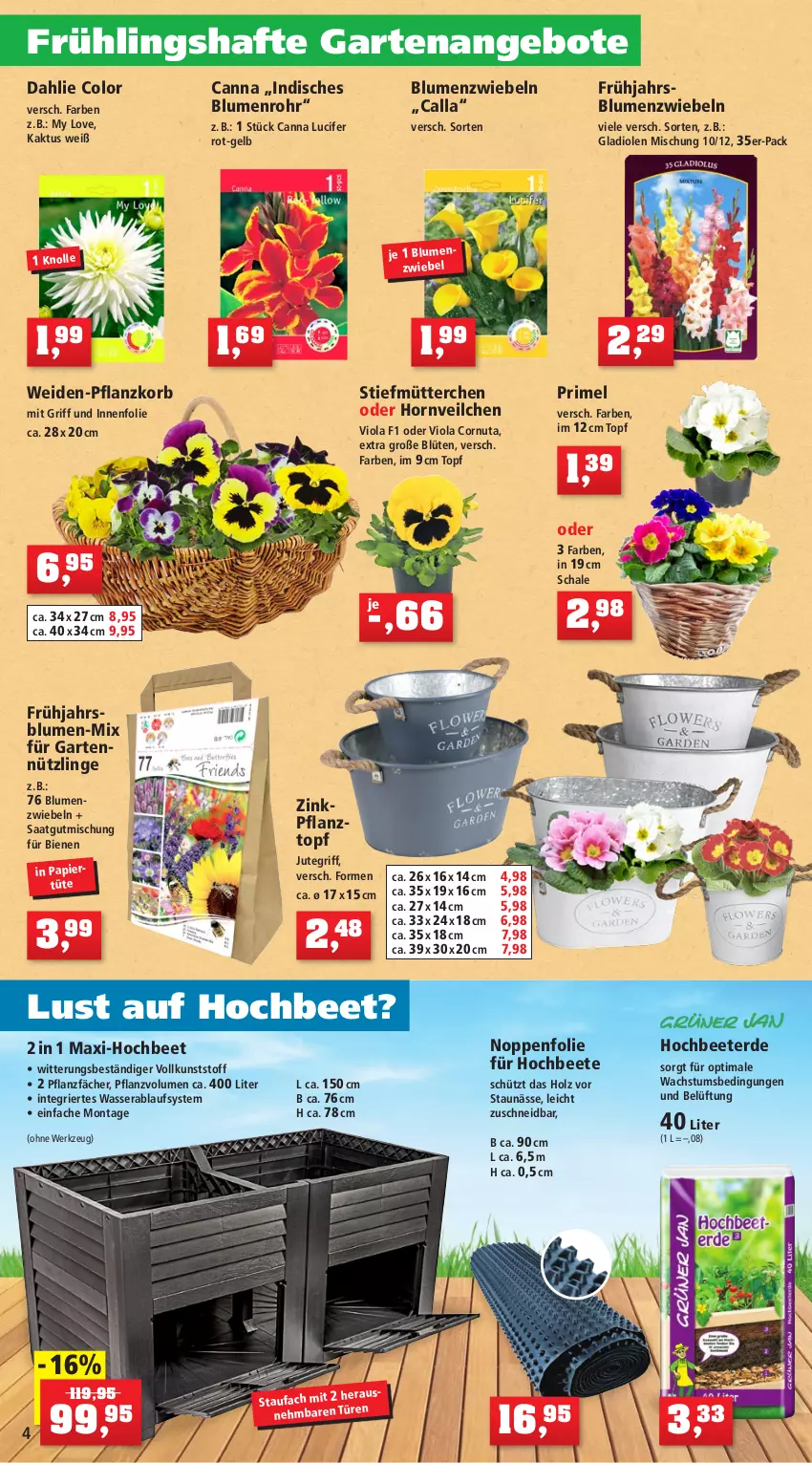 Aktueller Prospekt Thomas Philipps - Prospektwerbung - von 27.02 bis 04.03.2023 - strona 4 - produkty: Abba, angebot, angebote, Bau, beere, beeren, bio, Blaubeer, blaubeere, blume, blumen, Blüte, Cif, dahlie, eimer, eis, elle, erdbeere, erdbeeren, erde, Garten, Gladiolen, handschuhe, haselnuss, himbeer, himbeere, himbeeren, Holz, honig, kartoffel, kartoffeln, kokos, korb, kräuter, nuss, papier, Papiertüte, pflanze, pflanzen, Pflanztopf, reis, rosen, Schal, Schale, schuhe, Ti, topf, Tüte, vorteilspreis, walnuss, Wanne, wasser, werkzeug, zwiebel, zwiebeln