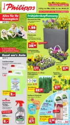 Gazetka promocyjna Thomas Philipps - Prospektwerbung - Gazetka - ważna od 04.03 do 04.03.2023 - strona 1 - produkty: auto, bio, blume, blumen, Container, Duftkerze, eis, flasche, heinz, kerze, Narzissen, pflanze, pflanzen, Pflanzkasten, Primeln, rasen, reiniger, reis, Scheibenreiniger, sekt, spartipp, tee, Ti, topf, vorteilspreis, zitrone, zitronen, Zitronenöl, zwiebel