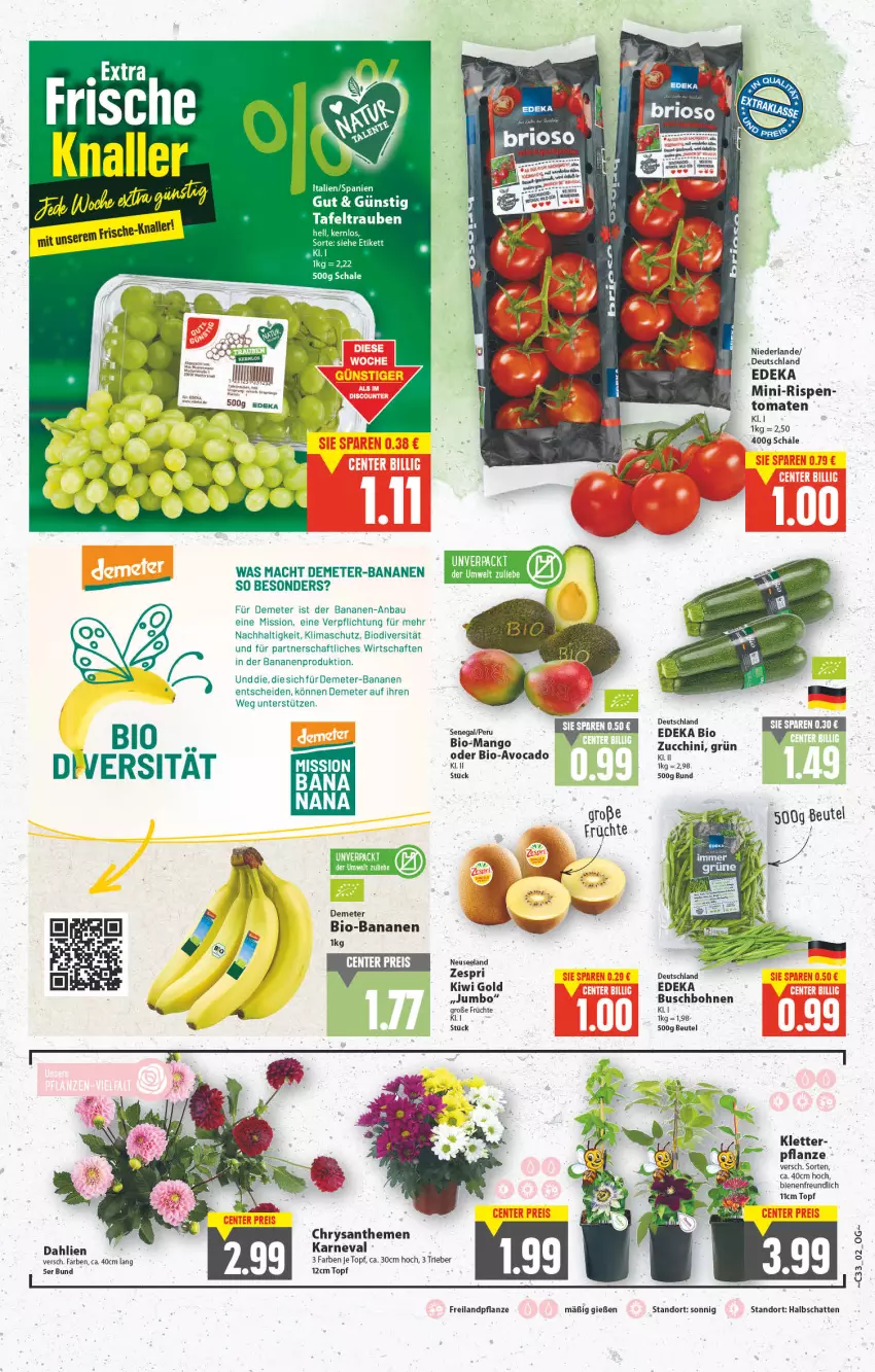 Aktueller Prospekt E Center - Angebote der Woche - von 15.08 bis 20.08.2022 - strona 2 - produkty: avocado, banane, bananen, Bau, beutel, bio, bio-bananen, bohne, bohnen, Buschbohnen, chrysanthemen, dahlie, deka, edeka bio, Elan, früchte, jumbo, kiwi, Kiwi Gold, mac, mango, pflanze, Schal, Schale, Ti, tomate, tomaten, topf, zespri, zucchini