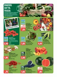 Gazetka promocyjna Feneberg - Prospekte - Gazetka - ważna od 01.07 do 01.07.2023 - strona 6 - produkty: Bau, beere, beeren, bio, braun, brot, champignon, champignons, champignons braun, dessert, eis, fleisch, frucht, fruchtfleisch, Geflügel, grill, gurke, gurken, heidelbeere, heidelbeeren, kirsch, kirsche, kirschen, konfitüre, kuchen, LG, mac, melone, Nektar, nektarinen, obst, Obst und Gemüse, reis, rwe, saft, salat, salate, Schal, Schale, Ti, tisch, tomate, tomaten, trolli, und gemüse, wasser, wassermelone