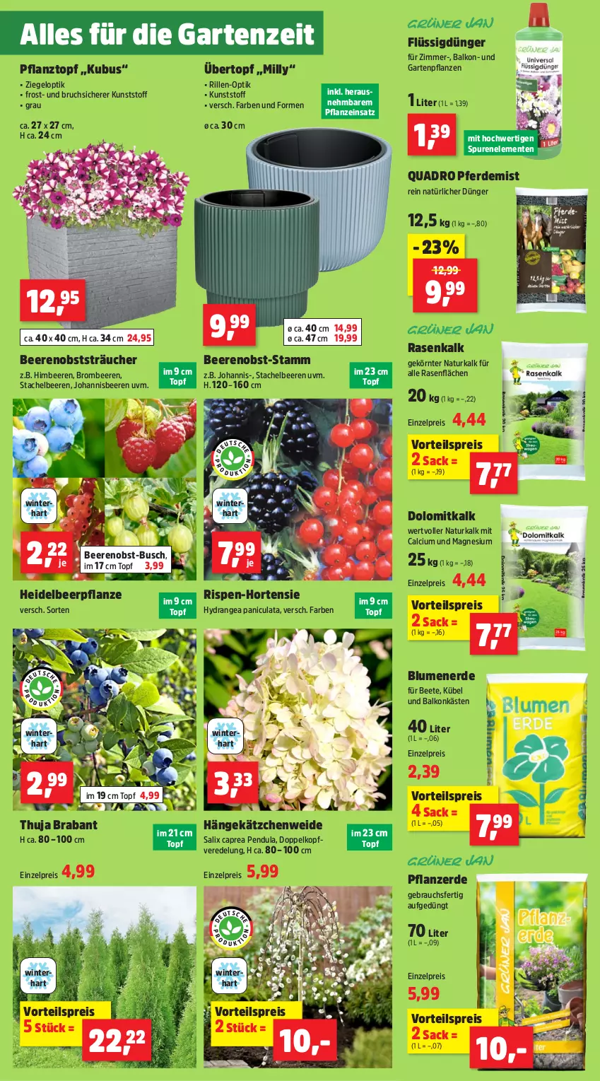 Aktueller Prospekt Thomas Philipps - von 10.03 bis 15.03.2025 - strona 3 - produkty: beere, beeren, blume, blumen, blumenerde, brombeere, brombeeren, Calcium, Cap, dünger, eis, ente, erde, flüssigdünger, Garten, Gartenpflanze, himbeer, himbeere, himbeeren, hortensie, hydrangea, Hydrangea paniculata, johannisbeere, Johannisbeeren, Kätzchen, magnesium, natur, obst, pflanze, pflanzen, pflanzerde, Pflanztopf, quad, Quadro, rasen, Rauch, reis, sac, senf, Stachelbeeren, Ti, topf, übertopf, vorteilspreis