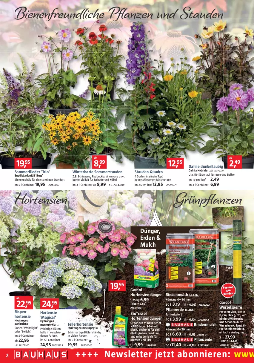 Aktueller Prospekt Bauhaus - Prospekte - von 02.07 bis 30.07.2022 - strona 3 - produkty: bambus, Bau, bio, Blüte, Brei, Container, dahlie, dünger, Echinacea, eis, elle, erde, flieder, Grünpflanzen, hortensie, hortensien, hydrangea, hydrangea macrophylla, Hydrangea paniculata, mac, pflanze, pflanzen, pflanzerde, quad, Quadro, rind, rindenmulch, stauden, teller, Ti, topf, Wild