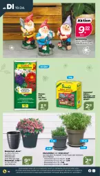 Gazetka promocyjna Netto - Angebote ab Montag - Gazetka - ważna od 23.04 do 23.04.2022 - strona 10 - produkty: auer, blume, blumen, blumenerde, dünger, erde, Garten, kübelpflanzen, pflanze, pflanzen, Ti, topf, Untersetzer, ZTE