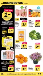 Gazetka promocyjna Netto - Angebote ab Montag - Gazetka - ważna od 23.04 do 23.04.2022 - strona 18 - produkty: bratwurst, broccoli, cheddar, eier, eis, femeg, fleisch, Fleischerei, grill, grobe bratwurst, kartoffel, kartoffelsalat, LG, mandarine, mandarinen, natur, salat, Schere, scholl, sofortrabatt, stauden, steak, steaks, Ti, topf, wurst