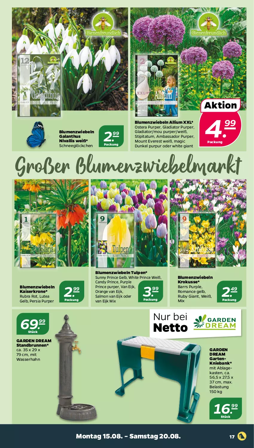 Aktueller Prospekt Netto - Woche 33 - von 15.08 bis 20.08.2022 - strona 17 - produkty: Bank, blume, blumen, brunnen, Garten, Kaiser, krone, orange, Ti, Tipi, wasser, zwiebel, zwiebeln