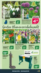 Gazetka promocyjna Netto - Woche 33 - Gazetka - ważna od 20.08 do 20.08.2022 - strona 17 - produkty: Bank, blume, blumen, brunnen, Garten, Kaiser, krone, orange, Ti, Tipi, wasser, zwiebel, zwiebeln