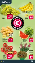 Gazetka promocyjna Netto - Woche 33 - Gazetka - ważna od 20.08 do 20.08.2022 - strona 2 - produkty: banane, bananen, bio, cocktail, eis, kartoffel, kartoffeln, melone, Ria, speisekartoffeln, Ti, tomate, tomaten, topf, trauben, wasser, wassermelone