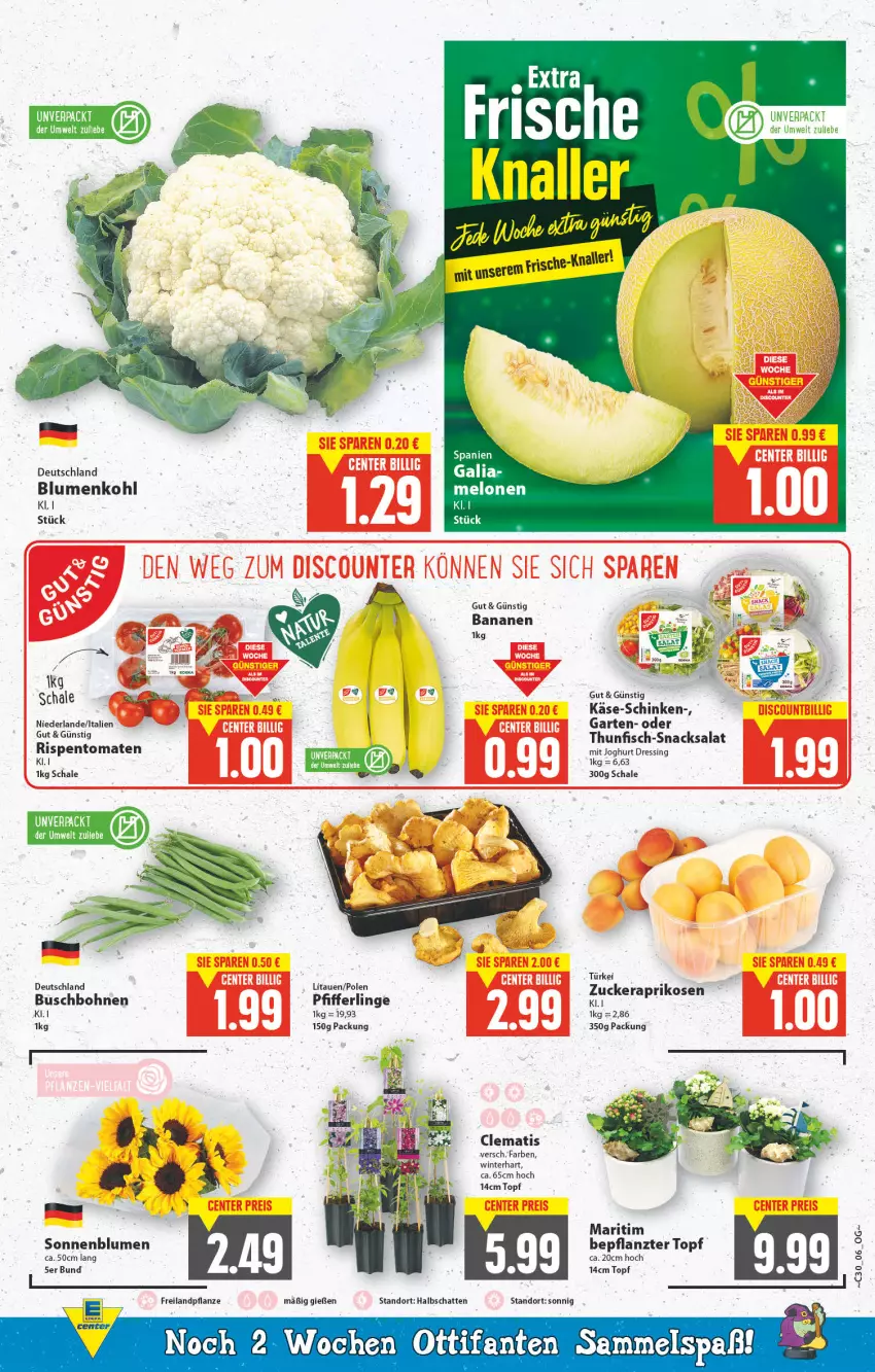 Aktueller Prospekt E Center - Angebote der Woche - von 25.07 bis 30.07.2022 - strona 6 - produkty: aprikose, aprikosen, banane, bananen, blume, blumen, blumenkohl, bohne, bohnen, Buschbohnen, dressing, ente, fisch, Garten, joghur, joghurt, Käse, melone, melonen, Pfifferlinge, pflanze, rispentomaten, salat, Schal, Schale, schinken, snack, snacks, sonnenblume, sonnenblumen, thunfisch, Ti, tomate, tomaten, topf, ZTE, zucker