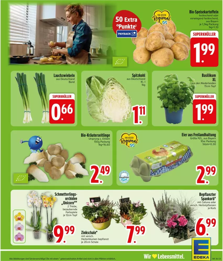 Aktueller Prospekt Edeka - Prospekte - von 31.08 bis 05.09.2026 - strona 5 - produkty: basilikum, bio, eier, kräuter, Kräuterseitlinge, Lauchzwiebel, lauchzwiebeln, lebensmittel, spitzkohl, Ti, topf, zwiebel, zwiebeln