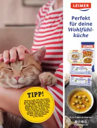 Gazetka promocyjna Hit - pures Leben - Gazetka - ważna od 31.12 do 31.12.2025 - strona 9 - produkty: eimer, küche, leimer, Ti
