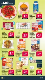 Gazetka promocyjna Netto - Woche 21 - Gazetka - ważna od 27.05 do 27.05.2023 - strona 6 - produkty: backmischung, Becher, beere, beeren, bio, coppenrath, dessert, Dr. Oetker, eis, erdbeere, erdbeeren, ferrero, Ferrero Rocher, heidelbeere, heidelbeeren, himbeer, himbeere, himbeeren, kuchen, kuchenmeister, Lust auf Kuchen, Meister, pudding, raffaello, sahne, sahnesteif, Ti, torte, tortenguss, zitrone