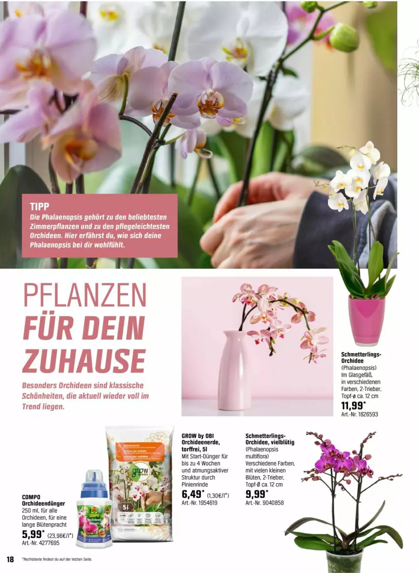 Aktueller Prospekt Obi - Prospekte - von 24.03 bis 14.04.2024 - strona 18 - produkty: Blüte, dünger, erde, leine, Mett, orchidee, orchideen, Orchideenerde, phalaenopsis, rind, Schmetterling, Ti, topf, ZTE