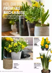 Gazetka promocyjna Obi - Prospekte - Gazetka - ważna od 14.04 do 14.04.2024 - strona 2 - produkty: Bau, blume, blumen, braun, brut, korb, tee, Ti, topf, ZTE