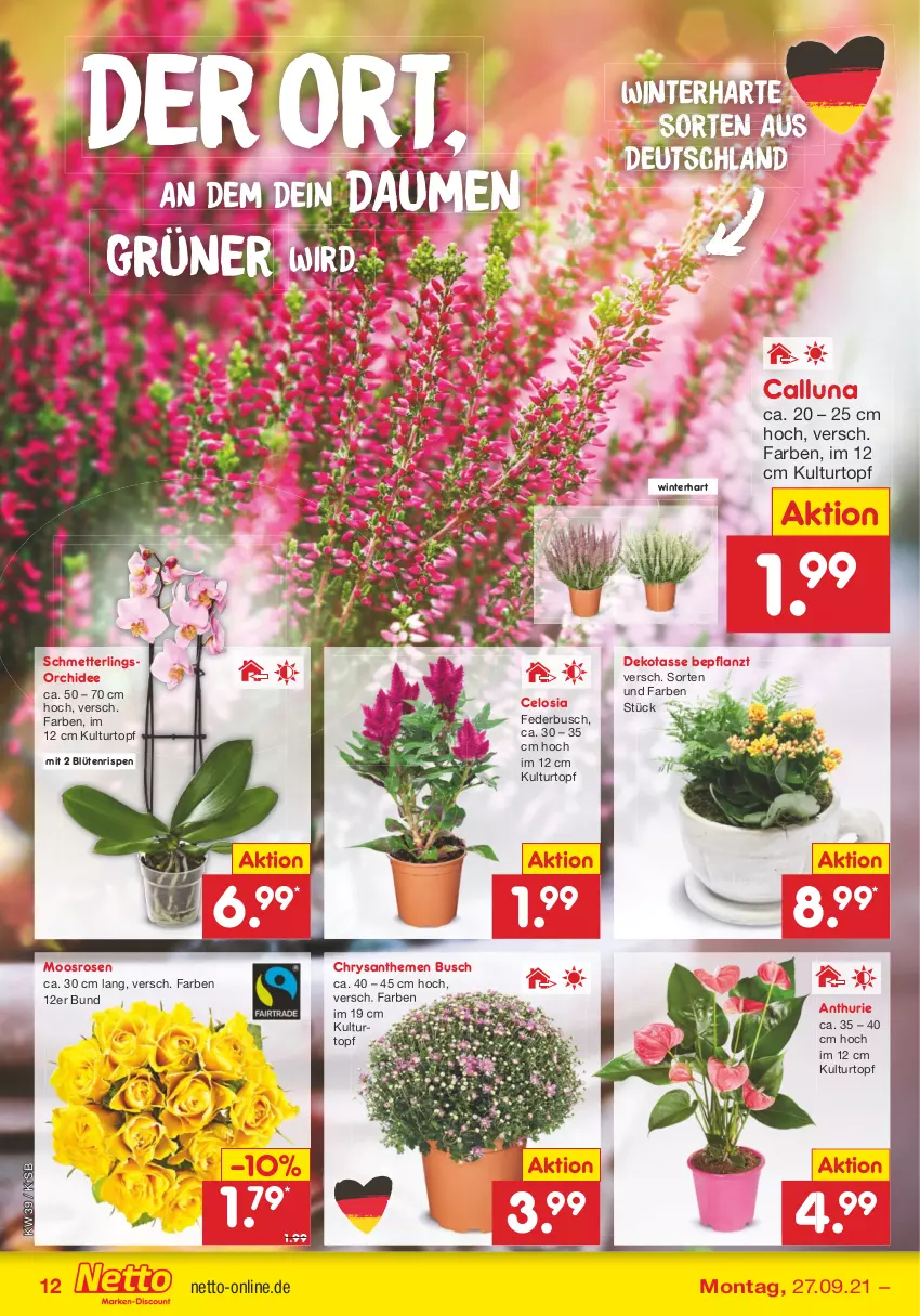 Aktueller Prospekt Netto Marken-Discount - Filial Angebote - von 27.09 bis 02.10.2021 - strona 12