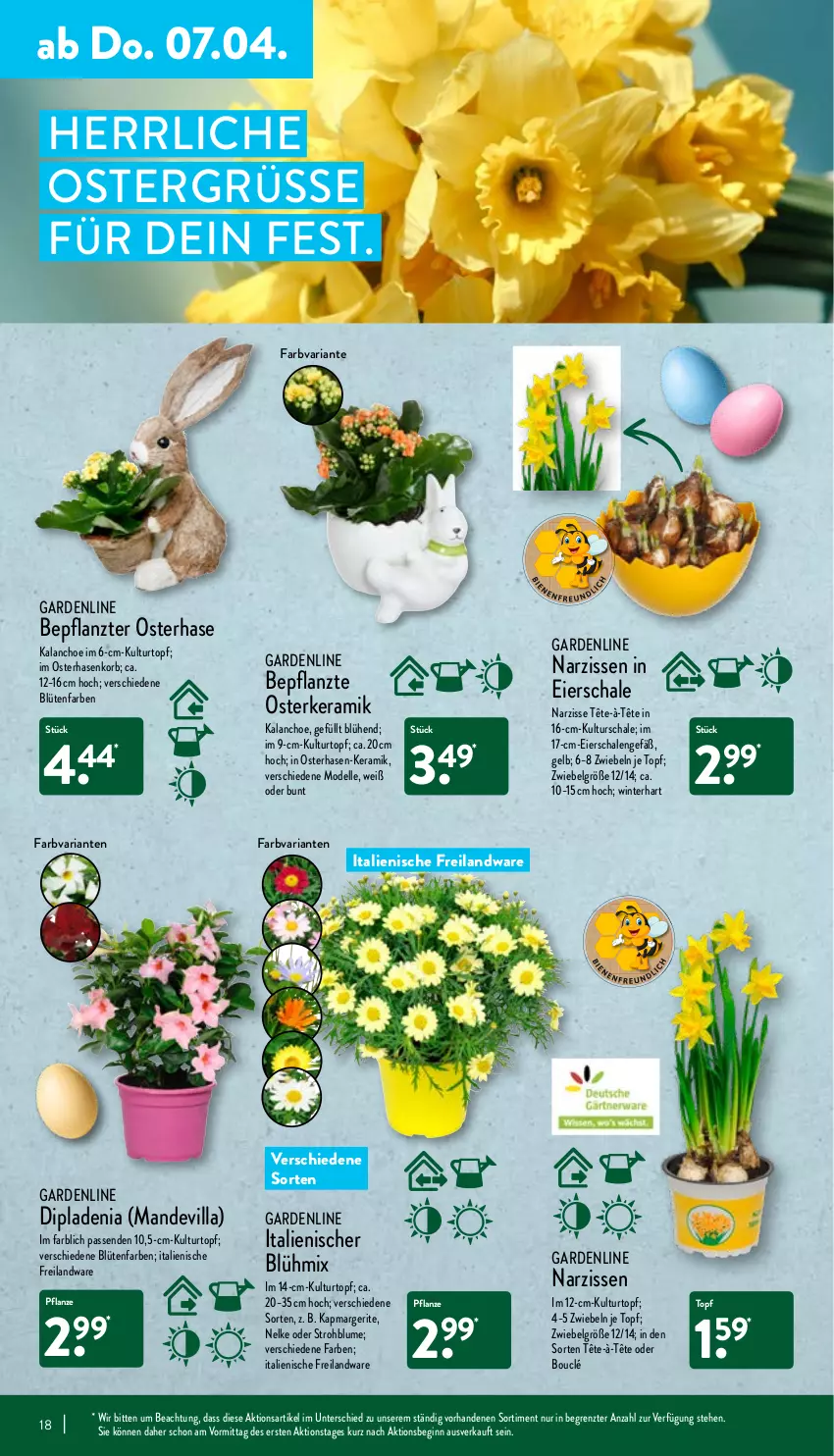 Aktueller Prospekt Aldi Nord - Aldi-Aktuell - von 04.04 bis 09.04.2022 - strona 18 - produkty: blume, Blüte, Brei, dell, dip, dipladenia, eier, elle, gin, Kalanchoe, korb, kulturtopf, LG, Mode, Narzissen, pflanze, Ria, Schal, Schale, Strohblume, Ti, topf, ZTE, zwiebel, zwiebeln