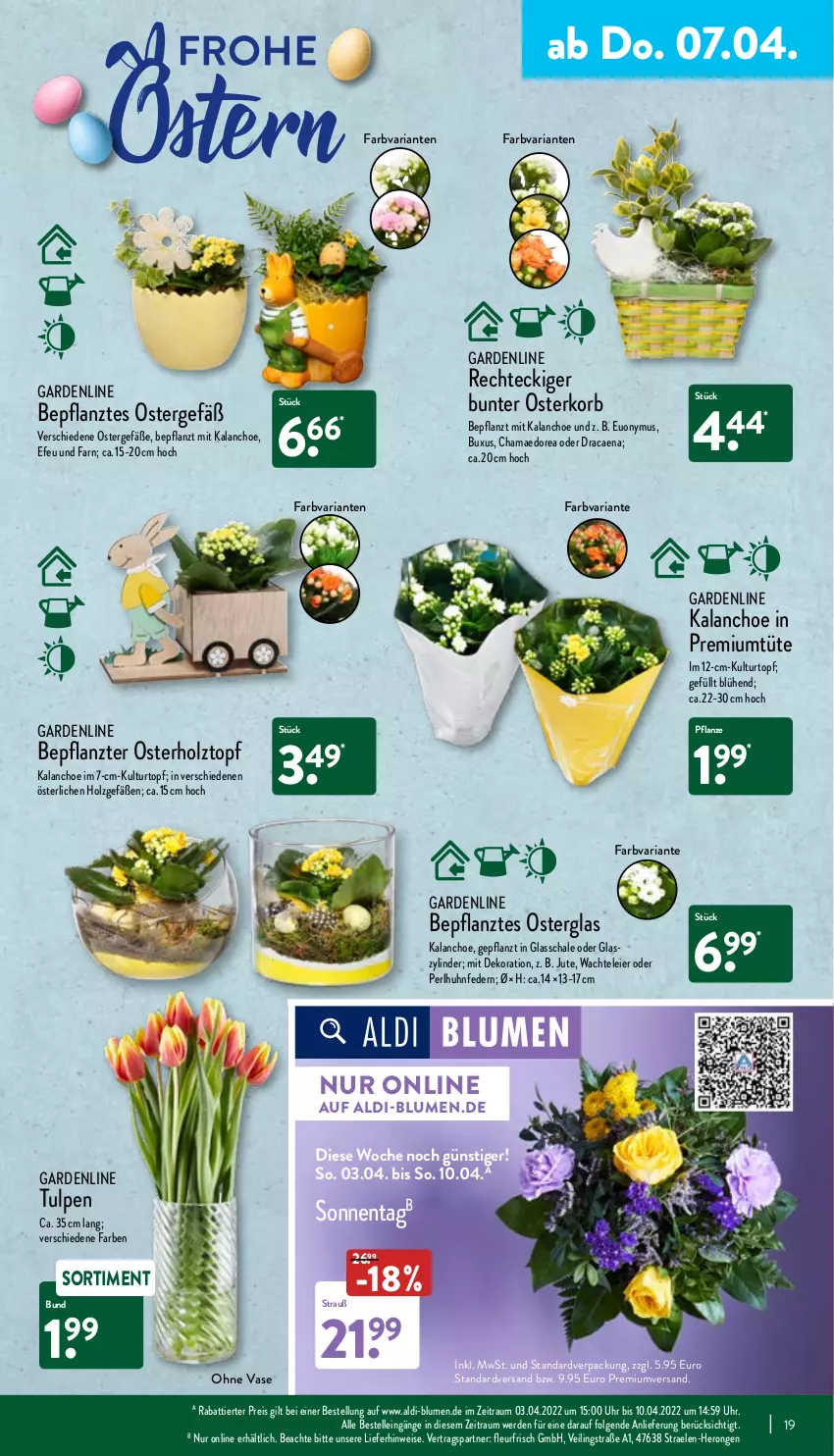 Aktueller Prospekt Aldi Nord - Aldi-Aktuell - von 04.04 bis 09.04.2022 - strona 19 - produkty: aldi, blume, blumen, Blüte, Brei, dekoration, eier, eis, elle, erde, gin, hama, hero, Holz, Kalanchoe, korb, kulturtopf, LG, pflanze, reis, Ria, Schal, Schale, Ti, topf, Tüte, uhr, Vase, ZTE