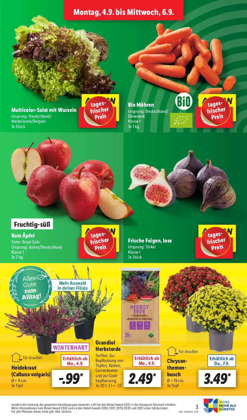 Aktueller Prospekt Lidl - Aktionsprospekt - von 04.09 bis 09.09.2023 - strona 3 - produkty: bio, chrysanthemen, discount, eis, erde, Feigen, frucht, Garten, Heidekraut, Kraut, LG, möhren, pflanze, pflanzen, reis, salat, Ti, topf