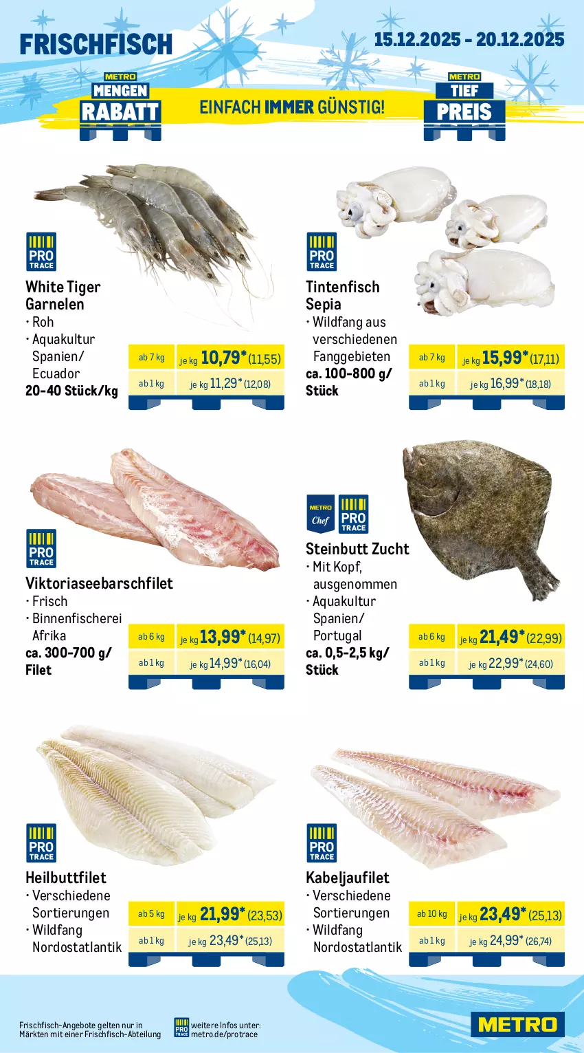 Aktueller Prospekt Metro - Wochen-Angebote - von 15.12 bis 20.12.2025 - strona 6 - produkty: Abtei, angebot, angebote, aqua, bsf, eis, elle, filet, filets, fisch, fische, Fischer, fleisch, forelle, frischfisch, garnelen, Heilbuttfilet, kabeljaufilet, Krebs, lachs, Metro, reis, rel, Ria, sauce, saucen, Schal, Schale, Schere, Ti, tiefpreis, Wild, wildlachs