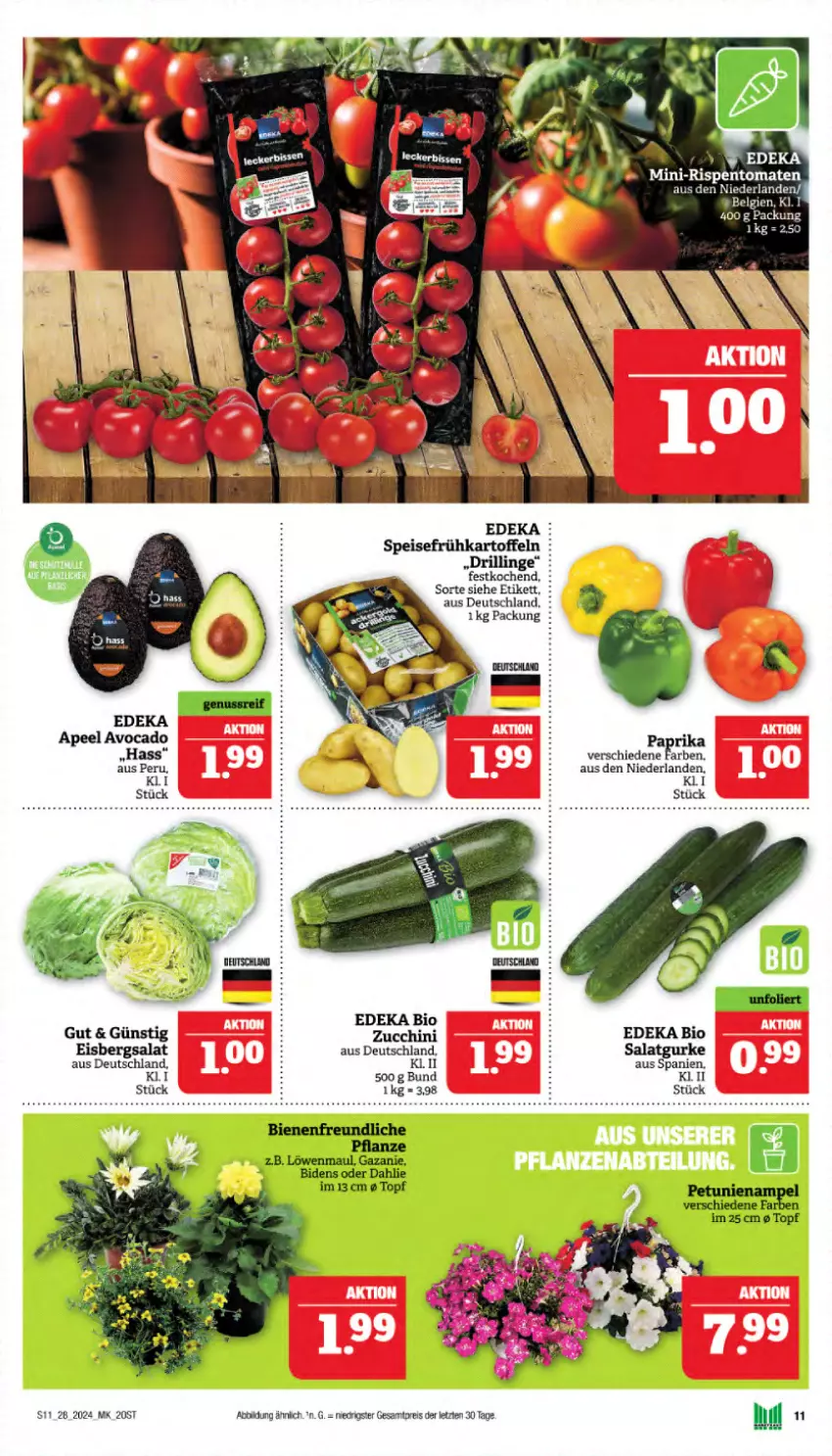 Aktueller Prospekt Marktkauf - Prospekt - von 07.07 bis 13.07.2024 - strona 11 - produkty: avocado, bio, dahlie, deka, edeka bio, eis, eisbergsalat, Frühkartoffeln, gurke, kartoffel, kartoffeln, löwenmaul, pflanze, reis, salat, Salatgurke, speisefrühkartoffeln, Ti, topf, ZTE, zucchini