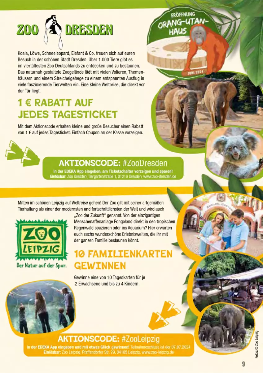 Aktueller Prospekt Marktkauf - Prospekt - von 07.07 bis 13.07.2024 - strona 49 - produkty: aqua, coupon, decke, eis, Elefant, Kinder, leine, LG, Mode, natur, reis, rwe, Ti, Tiere