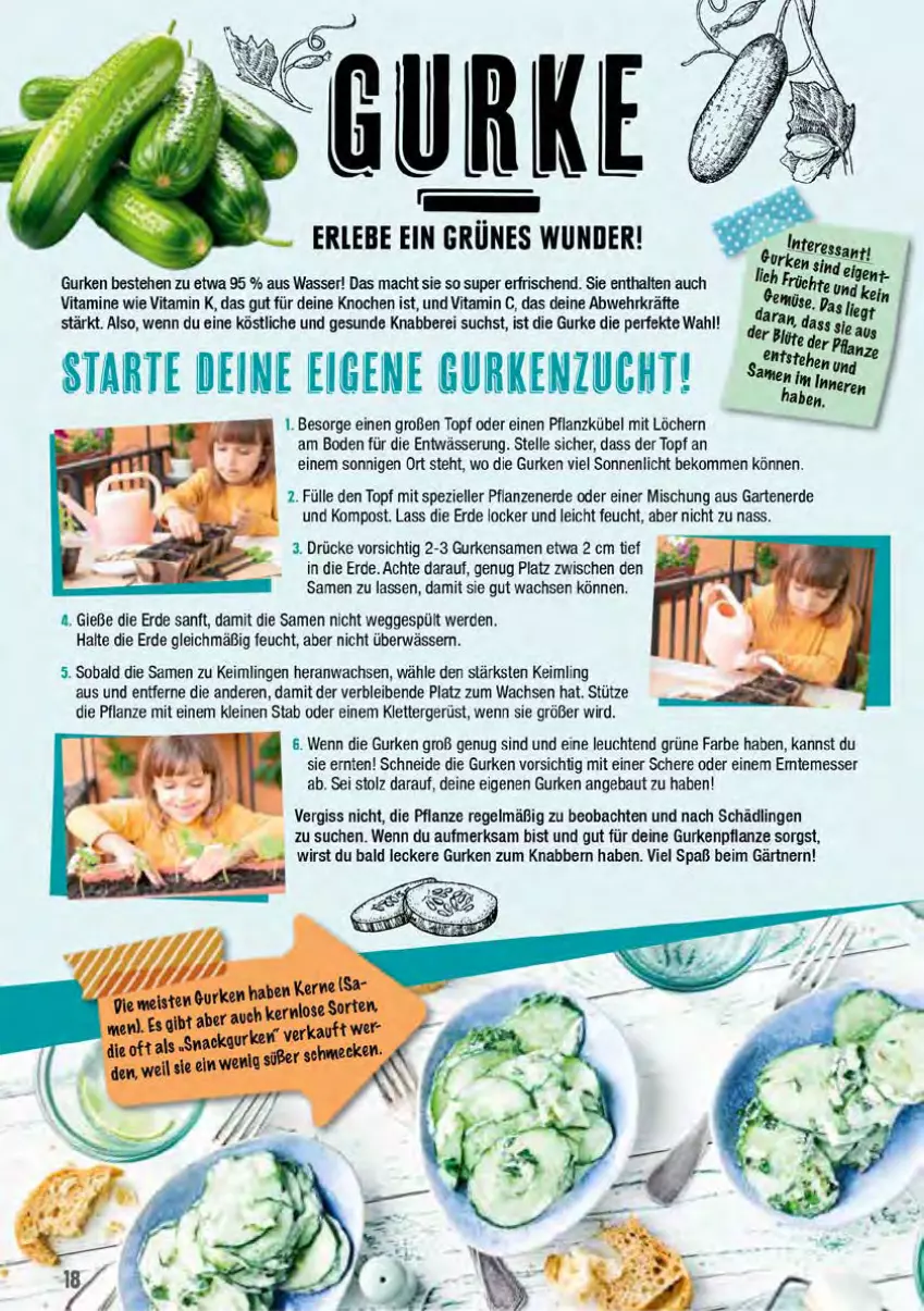 Aktueller Prospekt Marktkauf - Prospekt - von 07.07 bis 13.07.2024 - strona 58 - produkty: Bau, beko, Blüte, eis, elle, erde, früchte, Garten, gurke, gurken, leine, Leuchte, leuchten, mac, messer, pflanze, pflanzen, Schere, snack, Spezi, Ti, topf, vita, Vitamin C, Vitamine, wasser