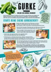 Gazetka promocyjna Marktkauf - Prospekt - Gazetka - ważna od 13.07 do 13.07.2024 - strona 58 - produkty: Bau, beko, Blüte, eis, elle, erde, früchte, Garten, gurke, gurken, leine, Leuchte, leuchten, mac, messer, pflanze, pflanzen, Schere, snack, Spezi, Ti, topf, vita, Vitamin C, Vitamine, wasser