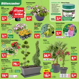 Gazetka promocyjna Thomas Philipps - Gazetka - ważna od 02.05 do 02.05.2026 - strona 2 - produkty: balkonpflanzen, Begonie, blume, blumen, Blüte, dünger, eis, flieder, flüssigdünger, HP, Kraut, petunie, petunien, pflanze, pflanzen, Pflanzkasten, Pflanztopf, Rauch, salz, siena, Sport, Ti, tisch, topf, Untersetzer