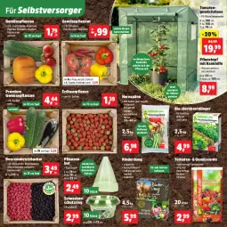 Gazetka promocyjna Thomas Philipps - Gazetka - ważna od 02.05 do 02.05.2026 - strona 3 - produkty: beere, beeren, bio, brombeere, brombeeren, dünger, elle, Erdbeerpflanze, erde, Garten, Gemüseerde, Gewächshaus, gurke, gurken, himbeer, himbeere, himbeeren, kohlrabi, kräuter, Kürbis, obst, paprika, peperoni, Peroni, pflanze, pflanzen, Pflanztopf, rind, rinder, ring, salat, salate, snack, Spezi, Stachelbeeren, tender, Ti, tomate, tomaten, topf, usb, wasser, zucchini