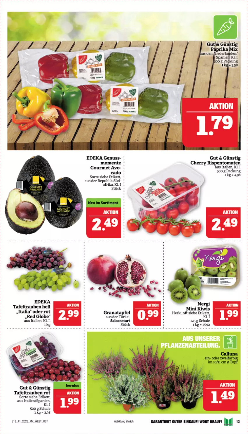 Aktueller Prospekt Marktkauf - Prospekt - von 08.10 bis 14.10.2023 - strona 13 - produkty: apfel, deka, ente, grana, granatapfel, kiwi, nuss, Rana, rispentomaten, Schal, Schale, tafeltrauben, Ti, tomate, tomaten, trauben