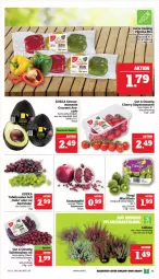Gazetka promocyjna Marktkauf - Prospekt - Gazetka - ważna od 14.10 do 14.10.2023 - strona 13 - produkty: apfel, deka, ente, grana, granatapfel, kiwi, nuss, Rana, rispentomaten, Schal, Schale, tafeltrauben, Ti, tomate, tomaten, trauben