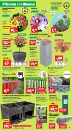 Gazetka promocyjna Thomas Philipps - Gazetka - ważna od 08.06 do 08.06.2024 - strona 3 - produkty: Beetumrandung, blume, blumen, Blüte, braun, cosmea, Draht, eier, eis, ente, erde, Garten, haselnuss, Holz, Kraut, latte, Mantel, Maus, natur, nuss, oreo, pflanze, pflanzen, rasen, reis, staketenzaun, stauden, Ti, topf, vorteilspreis, wasser, werkzeug