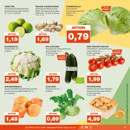 Gazetka promocyjna Real - Gazetka - ważna od 02.09 do 02.09.2023 - strona 3 - produkty: bio, bio-zucchini, blume, blumen, blumenkohl, braun, champignon, champignons, eis, eisbergsalat, Elan, kohlrabi, LG, limette, limetten, Mett, metten, mini-rispentomaten, Pfifferlinge, rispentomaten, salat, Schal, Schale, Speisezwiebeln, Ti, tomate, tomaten, zucchini, zwiebel, zwiebeln