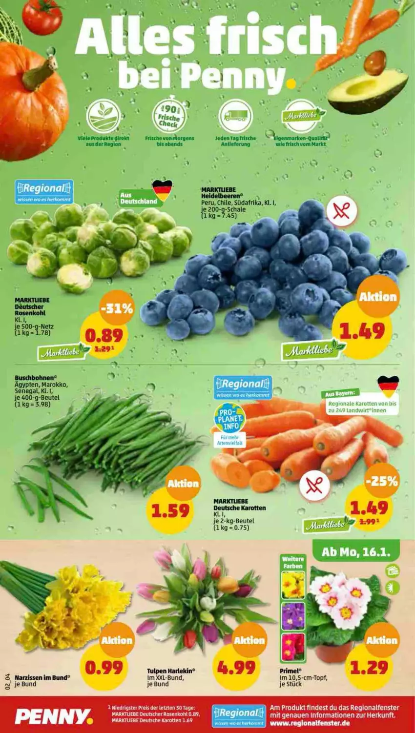 Aktueller Prospekt Penny - Prospekte - von 16.01 bis 21.01.2023 - strona 2 - produkty: beere, beeren, beutel, eis, heidelbeere, heidelbeeren, karotten, Narzissen, rosen, Rosenkohl, Schal, Schale, tee, Ti, topf