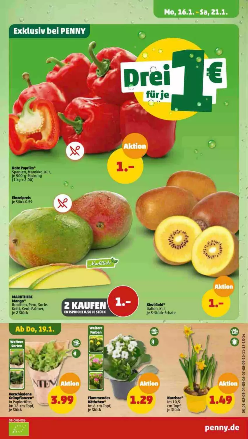 Aktueller Prospekt Penny - Prospekte - von 16.01 bis 21.01.2023 - strona 3 - produkty: elle, kiwi, Kiwi Gold, lamm, papier, Papiertüte, paprika, Schal, Schale, topf, Tüte