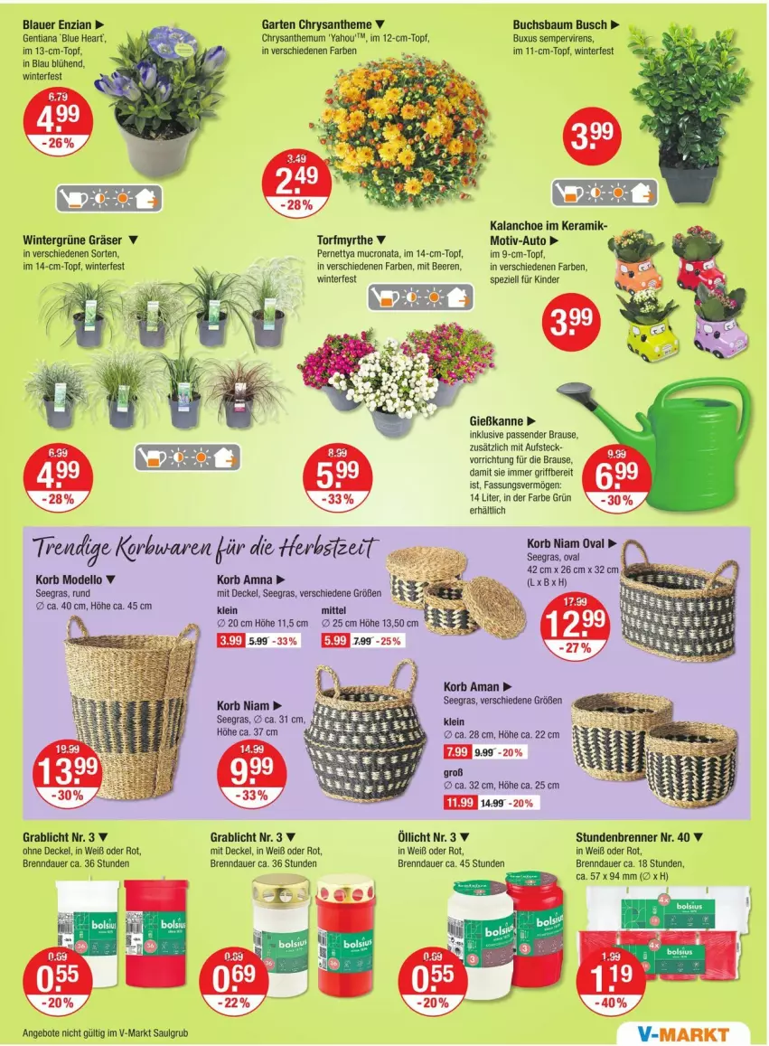 Aktueller Prospekt Vmarkt - Prospekte - von 28.08 bis 03.09.2025 - strona 13 - produkty: angebot, angebote, auer, auto, Bau, beere, beeren, brause, buch, decke, Deckel, dell, Garten, Gießkanne, im 9-cm-topf, Kalanchoe, Kinder, korb, LG, Mode, Spezi, Ti, topf